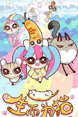 怀化网站优化网络推广